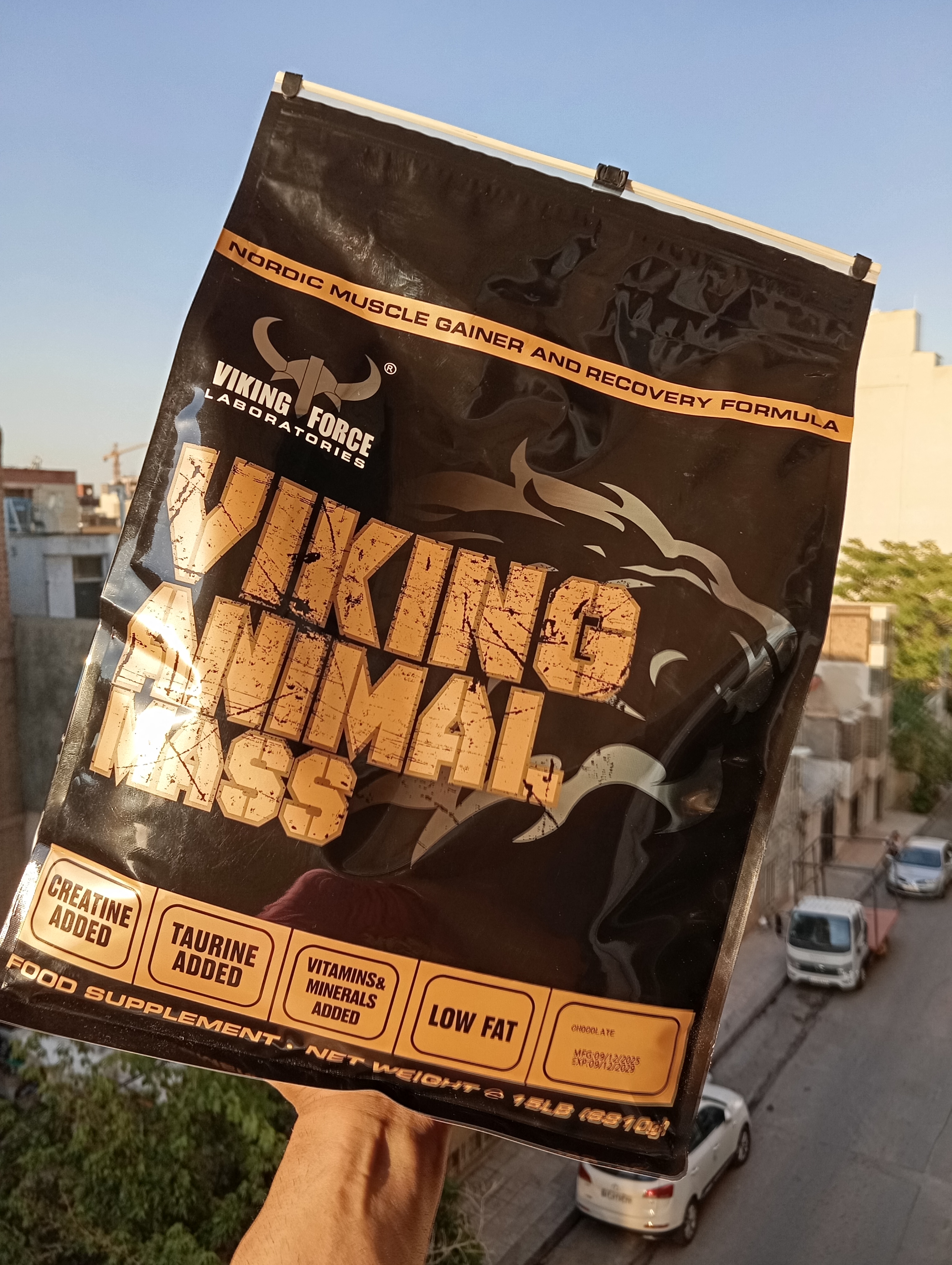 مس گینر انیمال کمپانی قدرتمند وایکینگ فورس